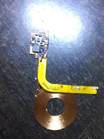 תĽֻ߳ġ