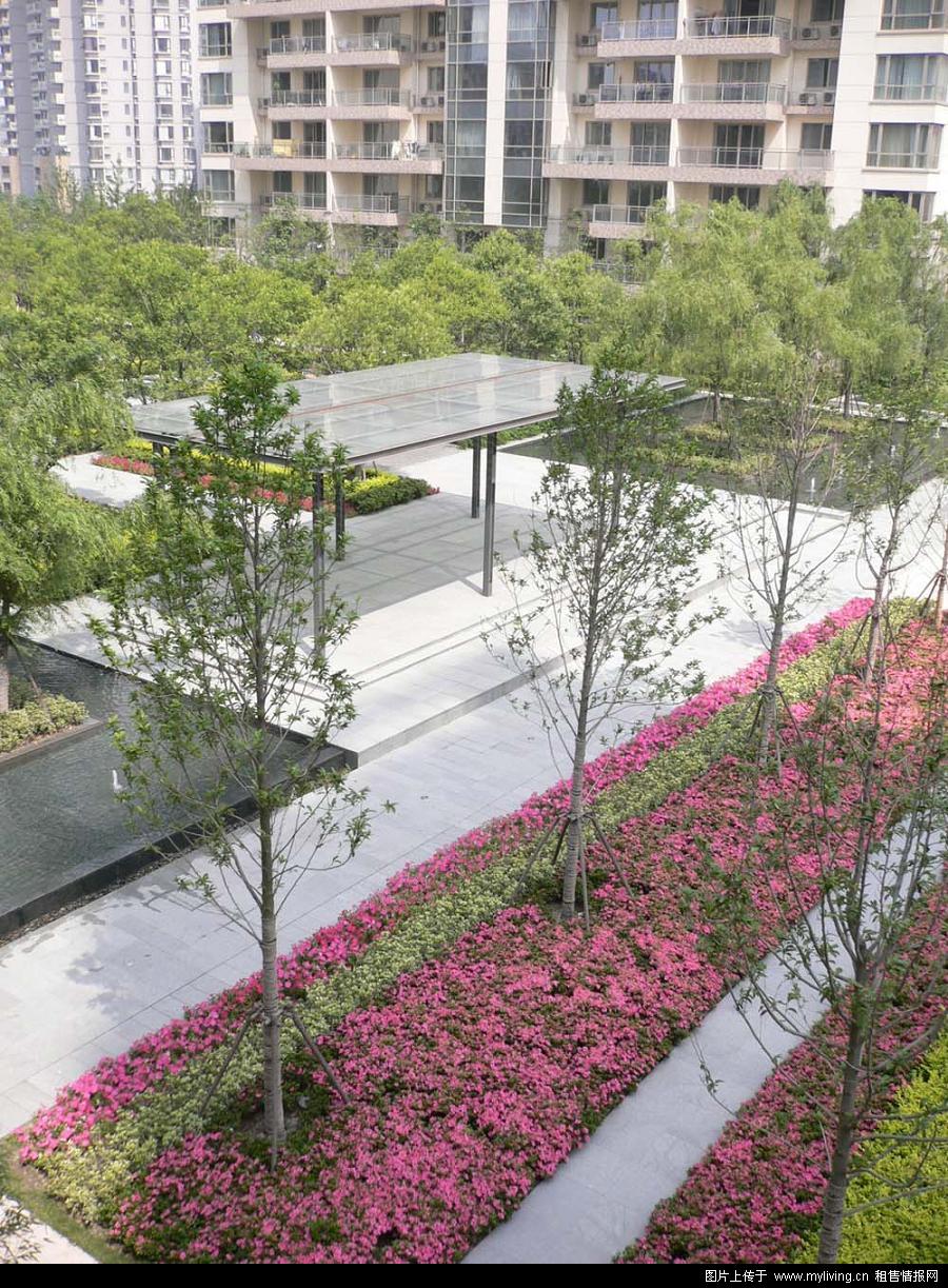 �⻷���13000/ƽ����������¥�гɽ����а�