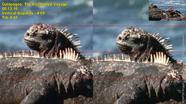 3D��Ƶ���ܳ��ֵ������й����� ��MSU��Ʒ��