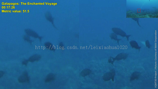 3D��Ƶ���ܳ��ֵ������й����� ��MSU��Ʒ��