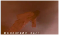 你不是真正的快乐-纪念即将完结的青春和陪伴小弟我的阿星和星仔和星爷