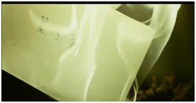 你不是真正的快乐-纪念即将完结的青春和陪伴小弟我的阿星和星仔和星爷