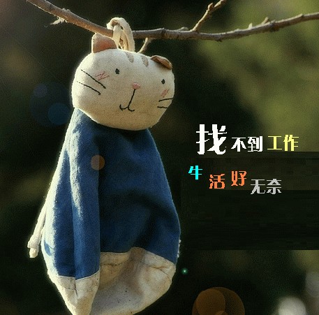 2012切身的面试题目