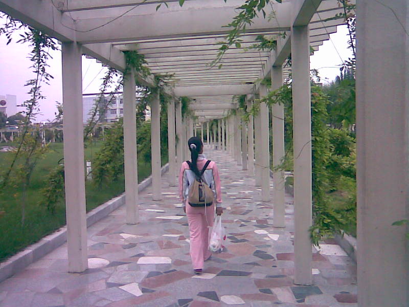2007-11-24ʯʹѧѧУı仯