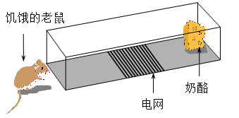 ����Զ�������㹻������