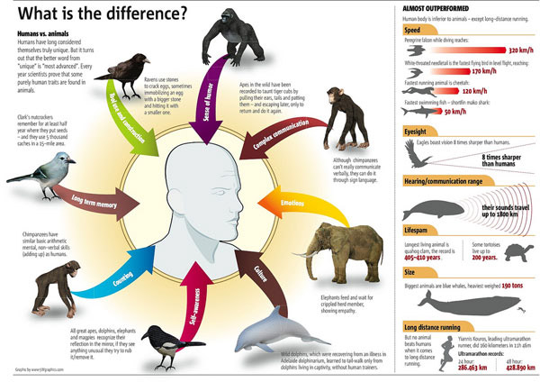 ֮ţ50׵ Infographicsϣ