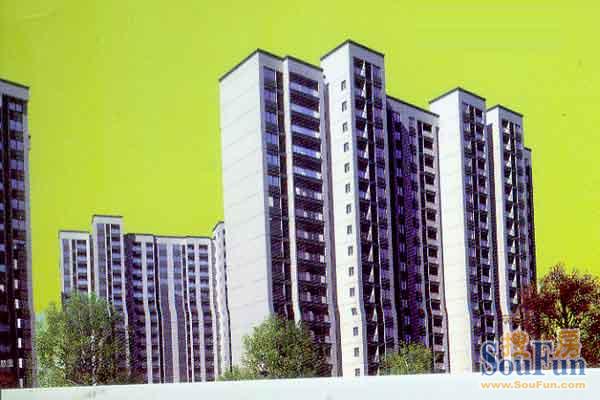 �̵��º�2010��������������ֵ���ڴ���¥��