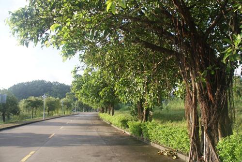 ݸ2012.7·ϻ麣 ʱз ݸ