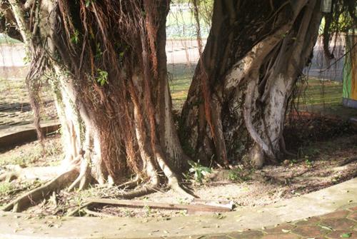 ݸ2012.7·ϻ麣 ʱз ݸ
