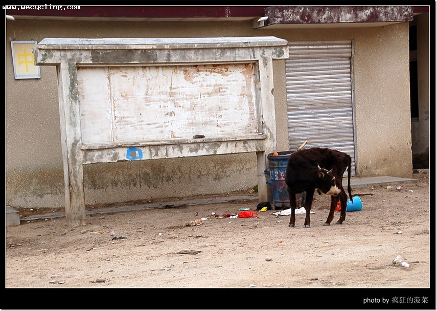 2007��������������ߣ�14��������˾�