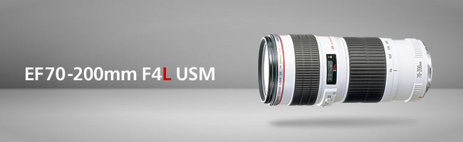 Canon(˫)