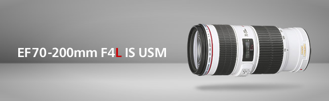 Canon(˫)