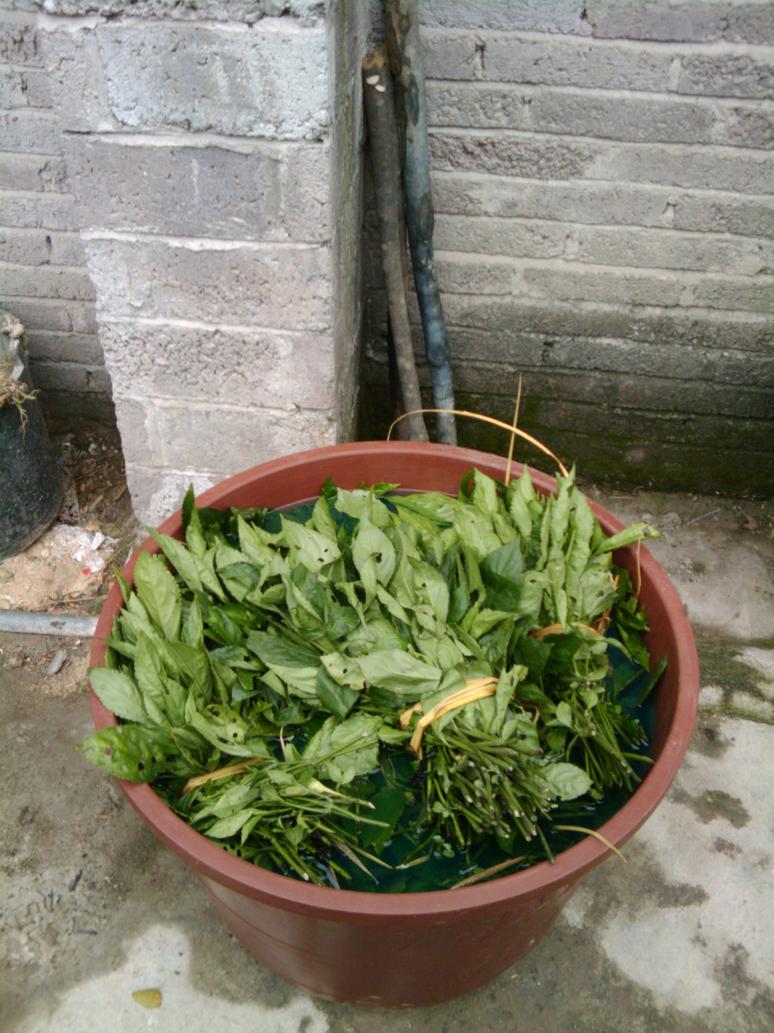 ǭ嶱ݣԶˣɳСƣС߿ףƲ-֮С