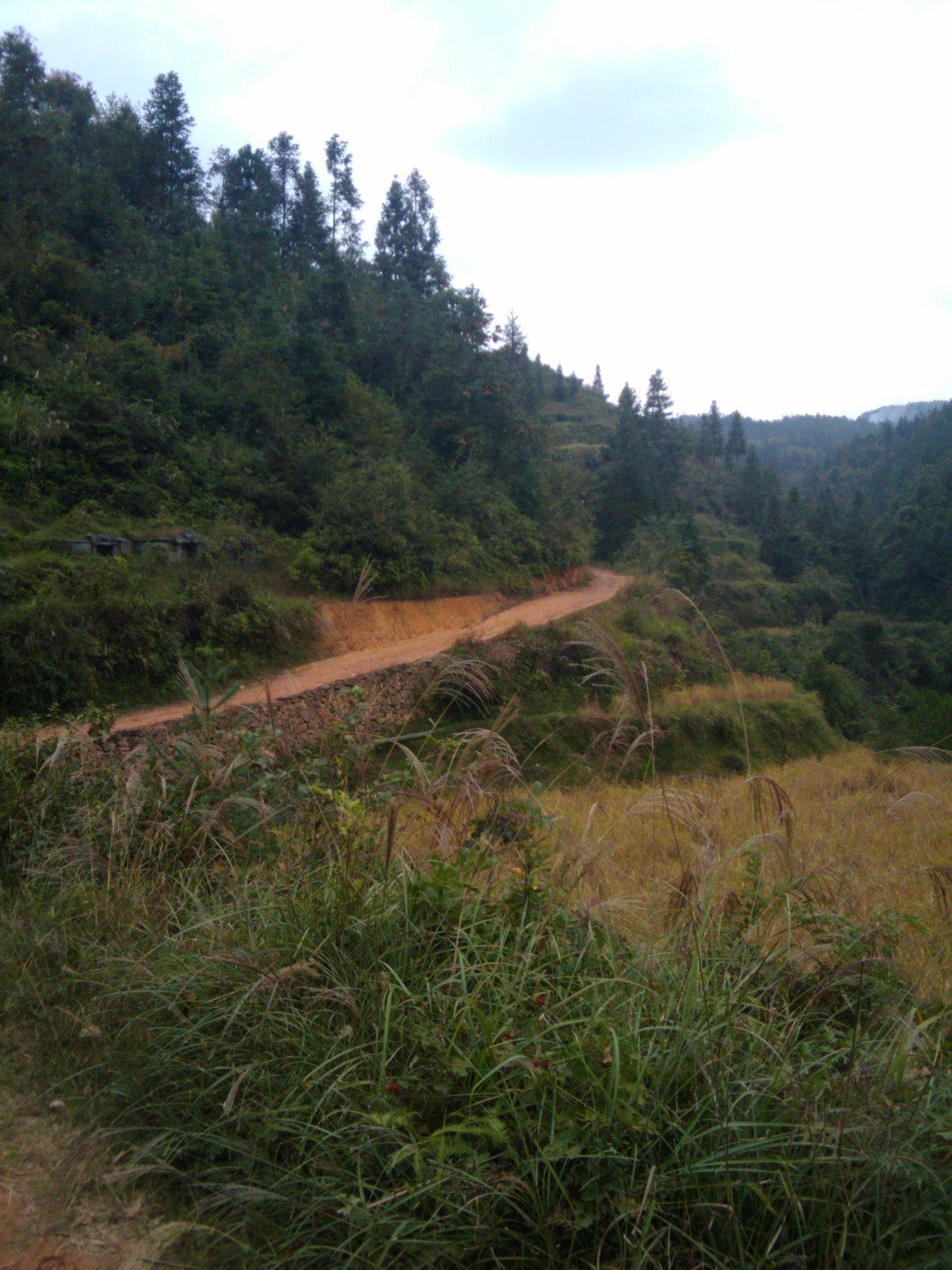 ǭ嶱ݣԶˣɳСƣС߿ףƲ-֮С