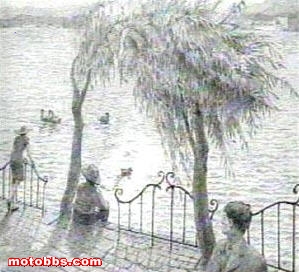 ������10������ƭ�۾���ͼƬ