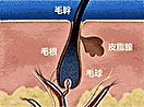 תءë