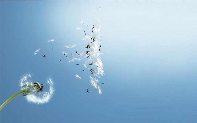 ��Щ�꣬С������һ��μӹ��ĸ߿�