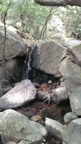 ��������ͩɽ�μ�