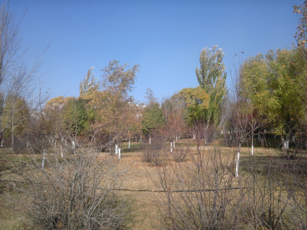 2012ʮµ׵ļ