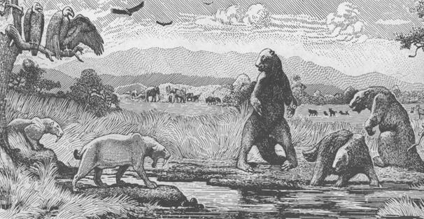 从软件工程师到项目经理:完美主义也是一种错