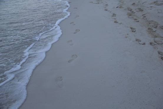 photo-media 【Dana的马尔代夫纪行】终极篇~希尔顿伊露岛~天堂之梦~各种图~(二)