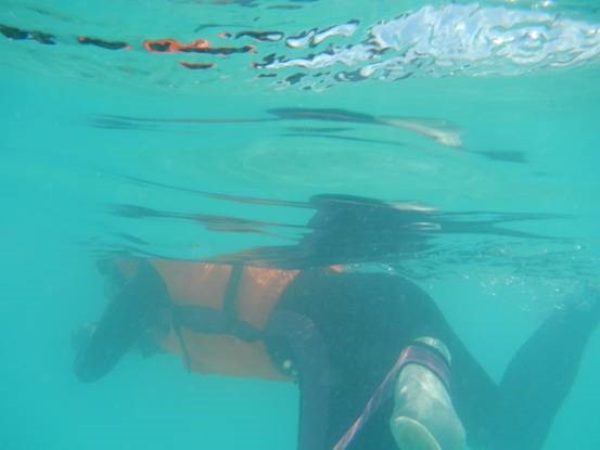 photo-media 【Dana的马尔代夫纪行】终极篇~希尔顿伊露岛~天堂之梦~各种图~(二)