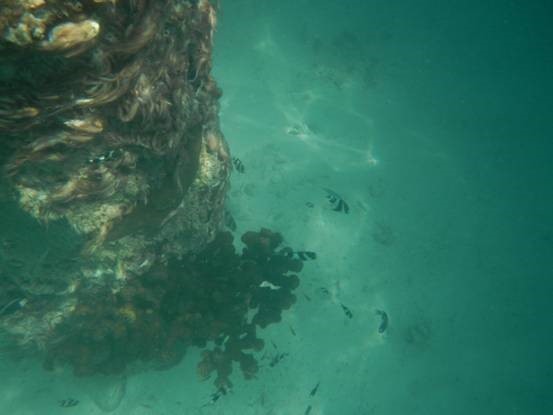 photo-media 【Dana的马尔代夫纪行】终极篇~希尔顿伊露岛~天堂之梦~各种图~(二)