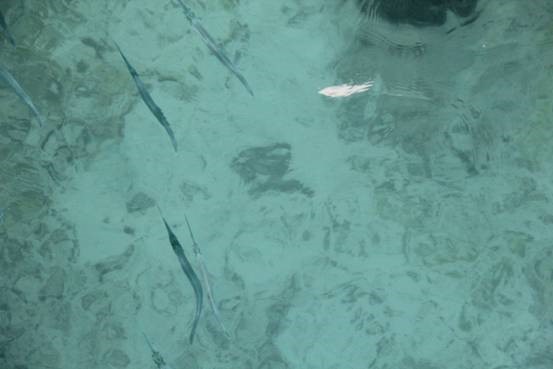 photo-media 【Dana的马尔代夫纪行】终极篇~希尔顿伊露岛~天堂之梦~各种图~(二)