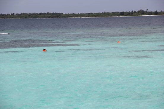 photo-media 【Dana的马尔代夫纪行】终极篇~希尔顿伊露岛~天堂之梦~各种图~(二)