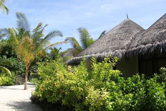 photo-media 【Dana的马尔代夫纪行】终极篇~希尔顿伊露岛~天堂之梦~各种图~(二)