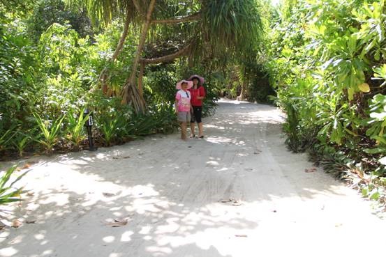 photo-media 【Dana的马尔代夫纪行】终极篇~希尔顿伊露岛~天堂之梦~各种图~(二)