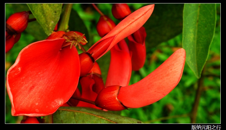 ������ʡ����Ŀ�����ӨD�D2008-07-20������ҹ����Ԫ����(��ͼ)