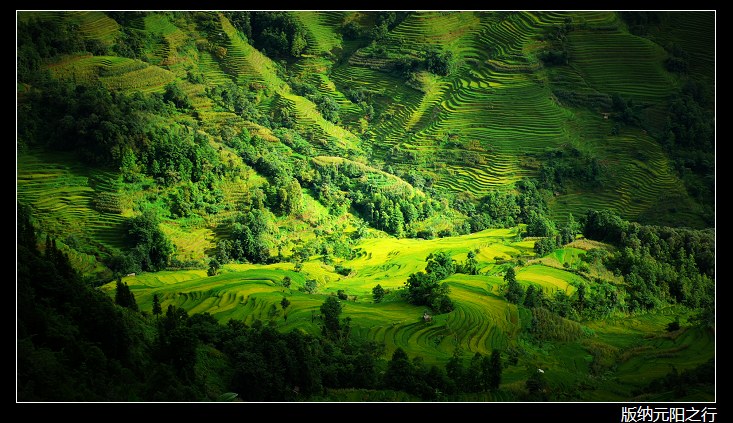 ������ʡ����Ŀ�����ӨD�D2008-07-20������ҹ����Ԫ����(��ͼ)