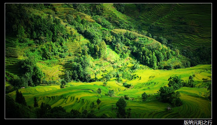 ������ʡ����Ŀ�����ӨD�D2008-07-20������ҹ����Ԫ����(��ͼ)