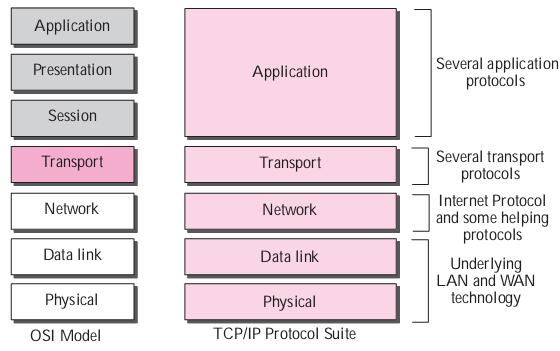 TCP/IP Protocol Suite()TCP/IPЭ