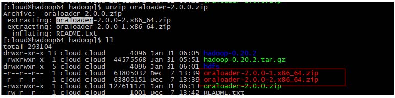 10-Oracle大数据OLH联接