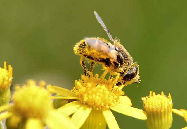 TF-IDFԵãһԶȡؼ ת