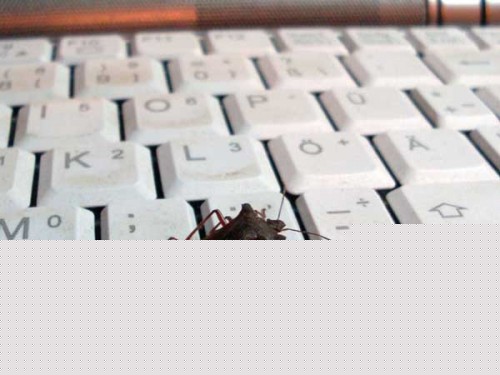 软件工程师最怕的事