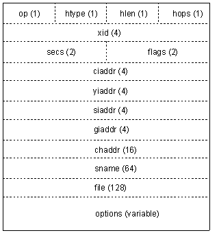DHCP(2)-DHCP报文详解