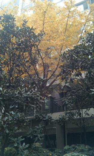 ��С�ã��������-Ħ�������·���i MT788ʹ������