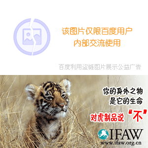 HTTP协议(超文本传送协议)详解-超经典