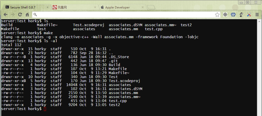 从Secure Shell望Chrome强大的Native Client