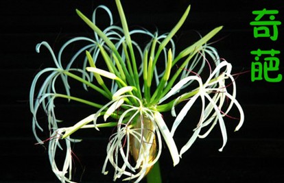 那些年互换友链遇到的奇葩