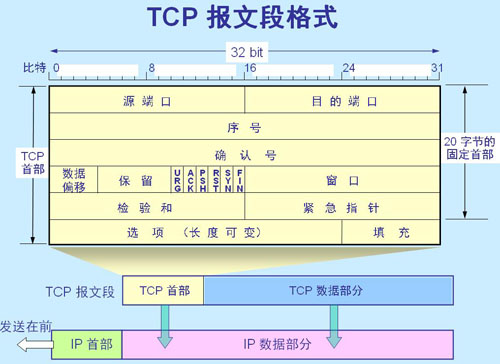 IPݱTCPĸʽӦ