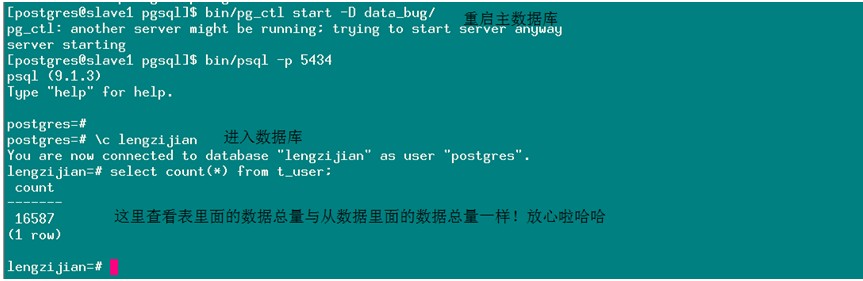 postgresqlȺ᰸hot standby()۲ԡֶͬ