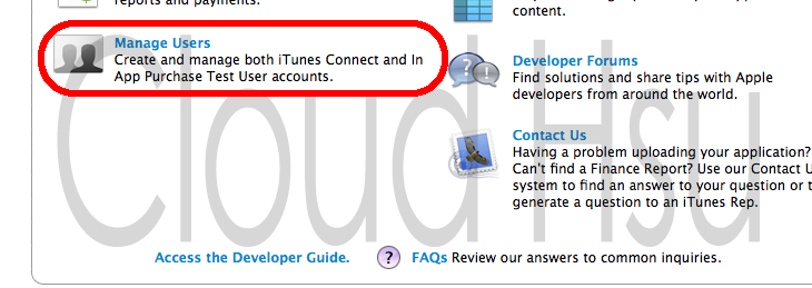 iOS IAPγ