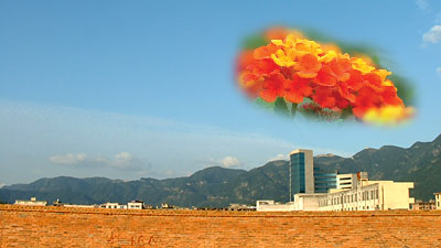 Photoshopѡѡ