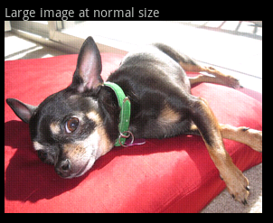Android ApiDemosʾ(125):Views->ImageView