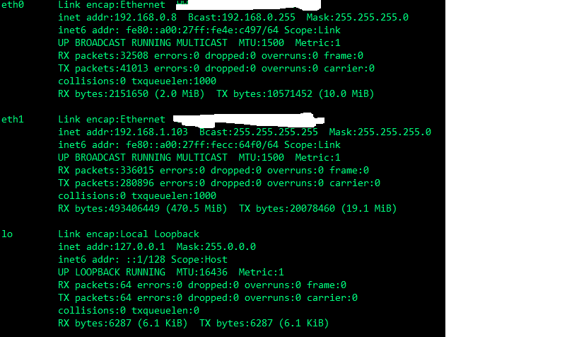 Virtual Boxͬʱhost-onlybridge