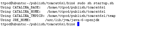 UbuntuJavaｨ